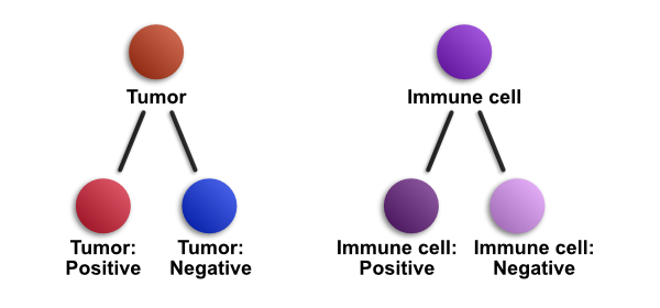 ../../_images/classification_hierarchy.png