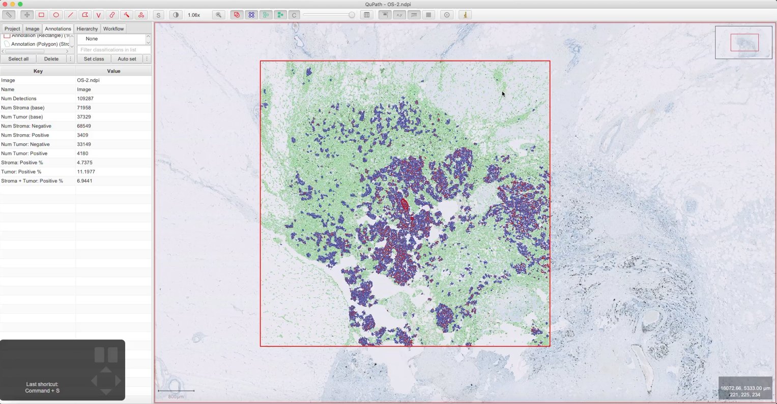 ../../_images/density_cells.jpg