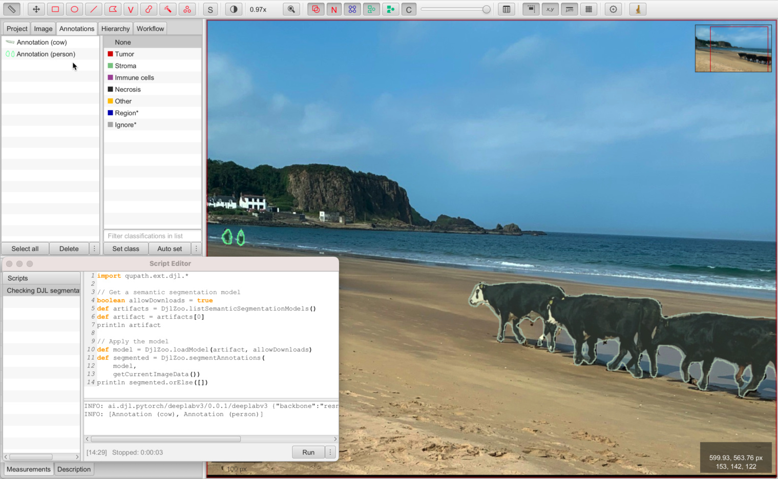 ../../_images/djl_holiday_cows_semantic.jpg