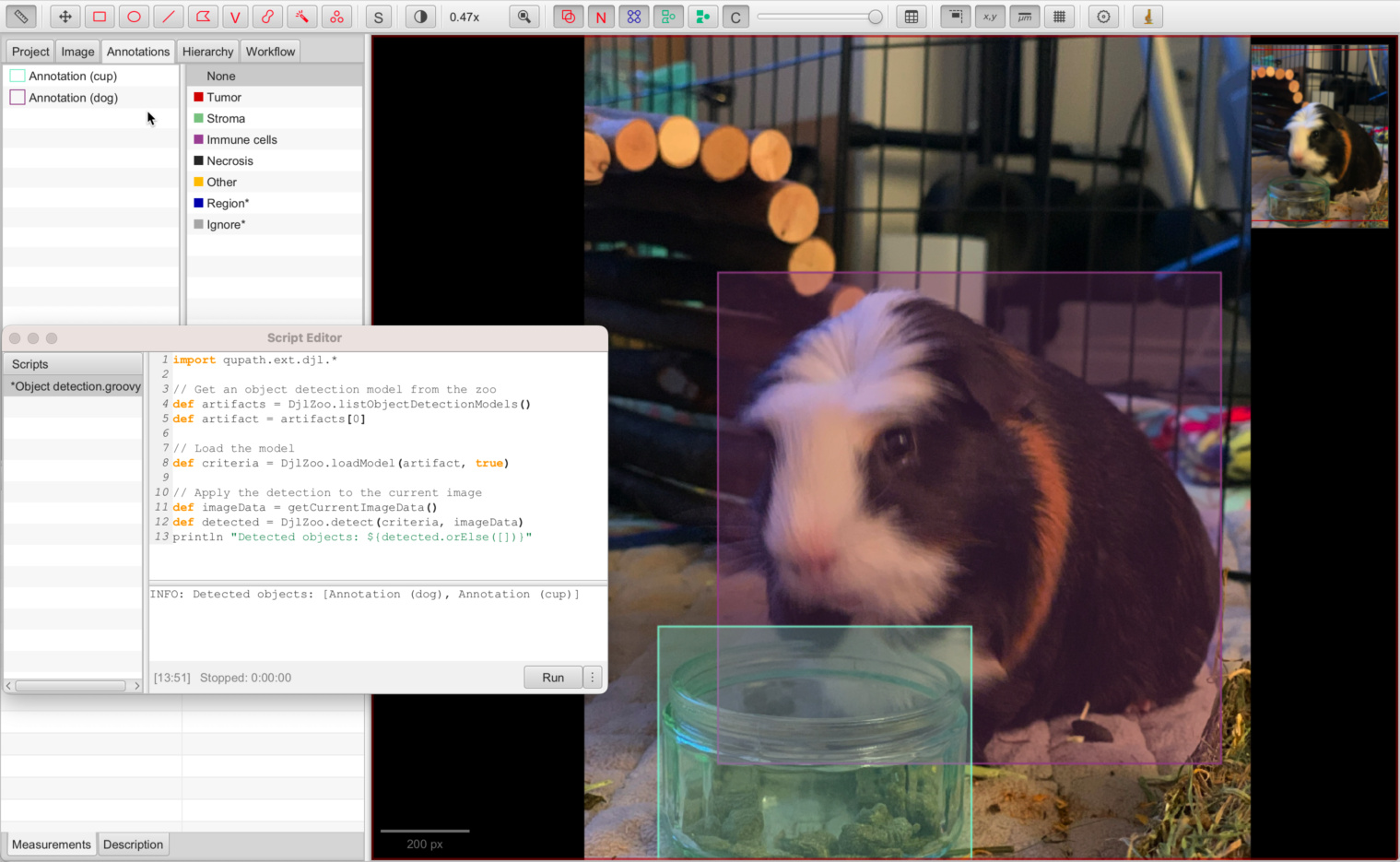 ../../_images/djl_stein_object_detection.jpg