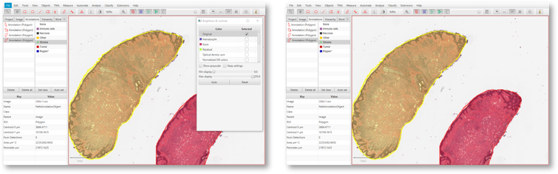 ../../_images/export_window_snapshots.png
