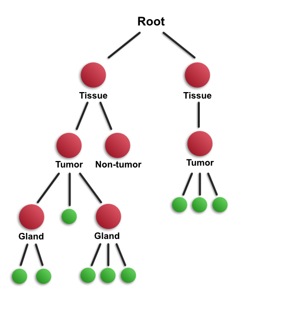 ../../_images/hierarchy_complex.png