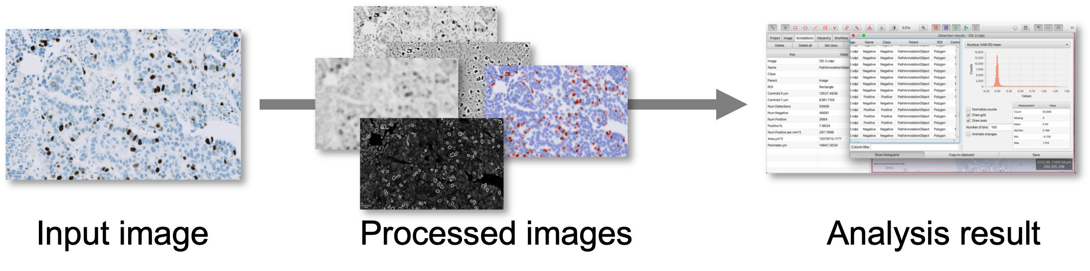 ../../_images/image_analysis.png