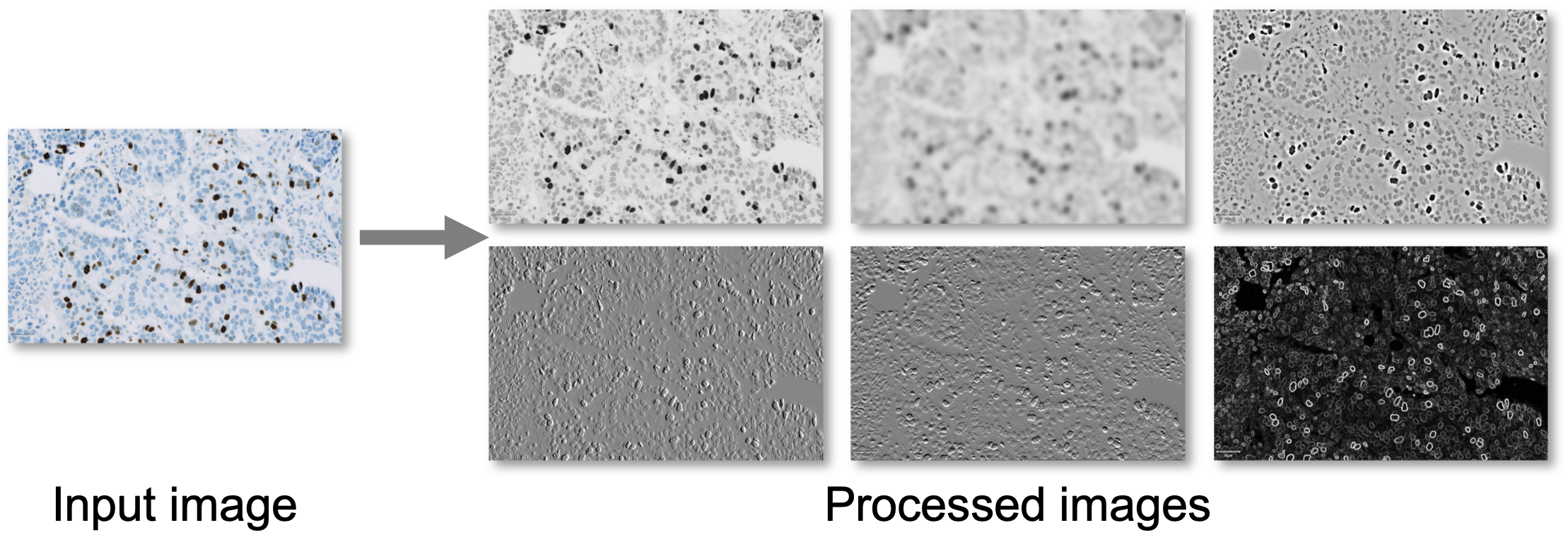../../_images/image_processing.png