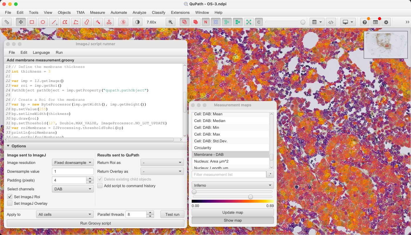 ../../_images/imagej_script_add_membrane.jpg