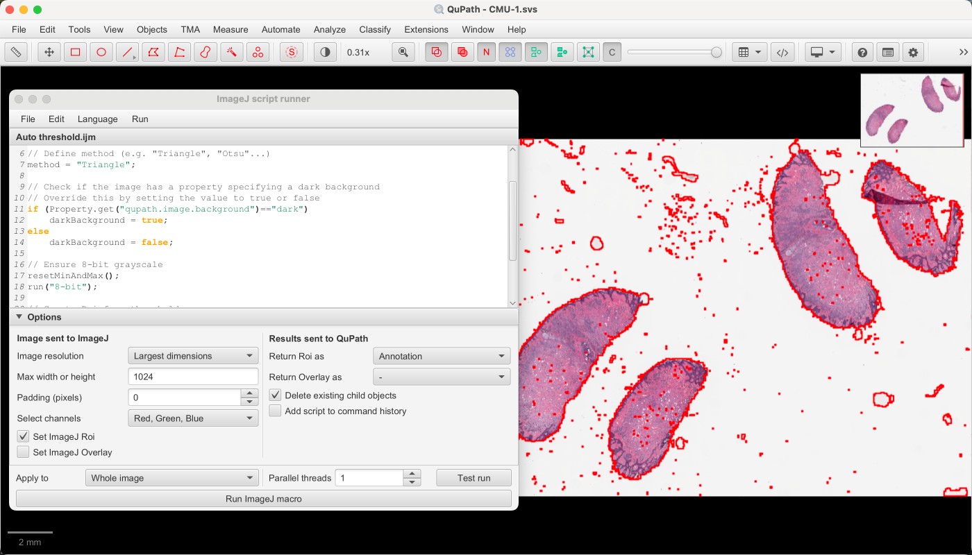 ../../_images/imagej_script_triangle.jpg