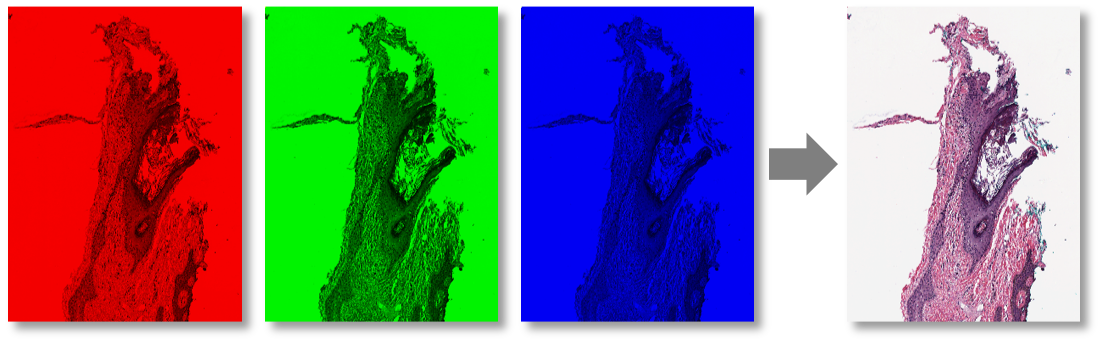 ../../_images/rgb.png
