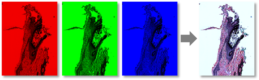 ../../_images/rgb_contrast.png