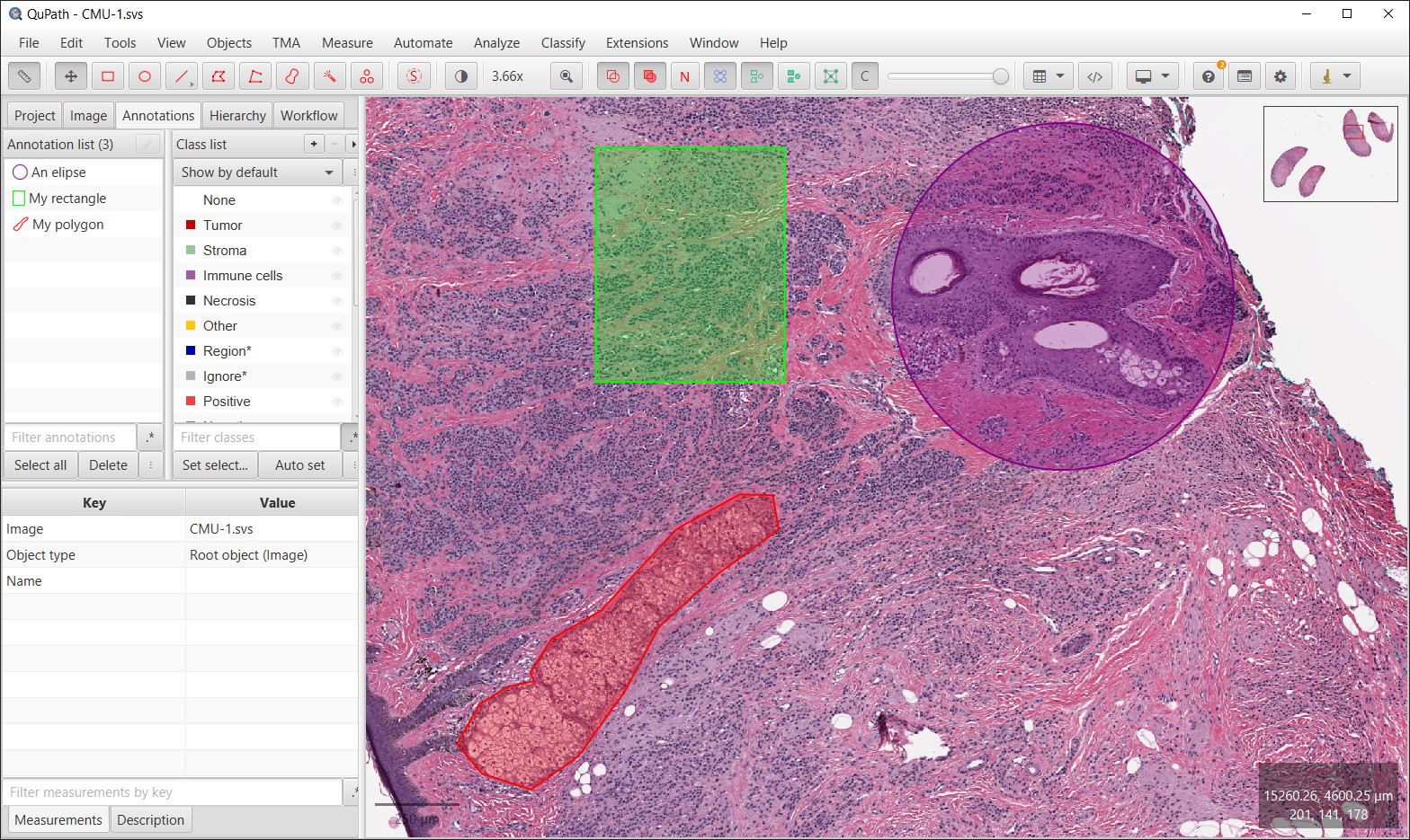 ../../_images/steps_annotation_panel.jpg
