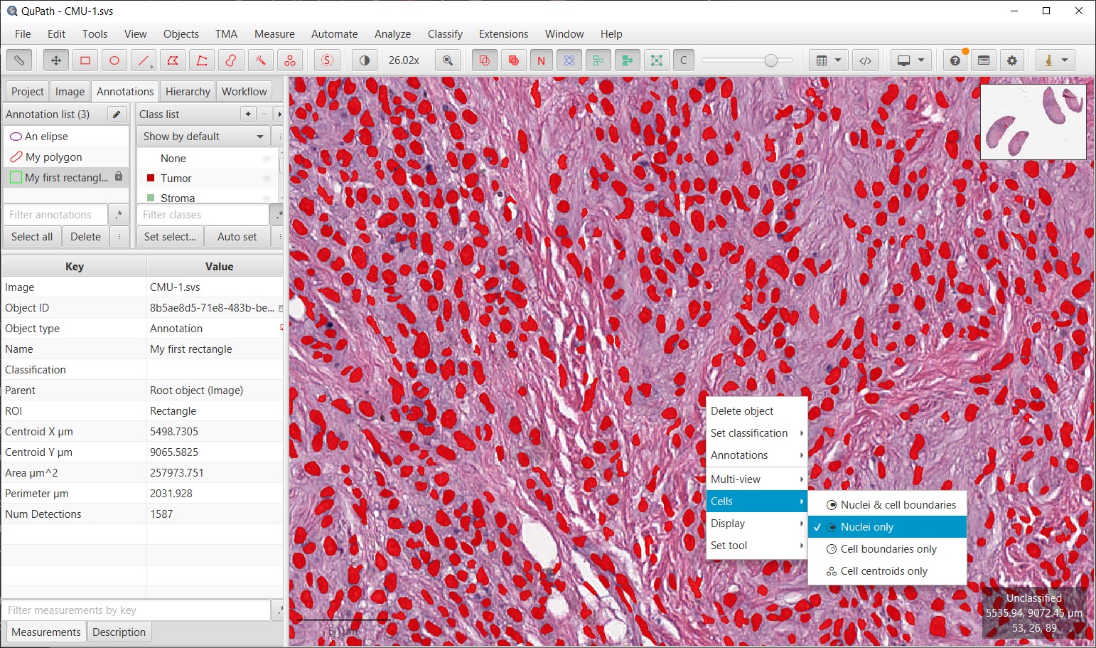 ../../_images/steps_cells_display.jpg