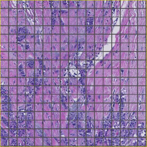 ../../_images/superpixels_tiles.jpg