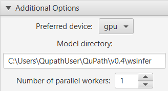 ../../_images/wsinfer_options.png
